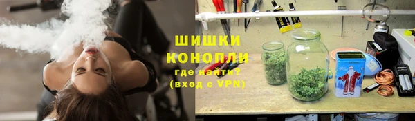 гидра Зеленокумск