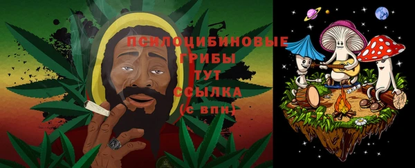 MDMA Богородск