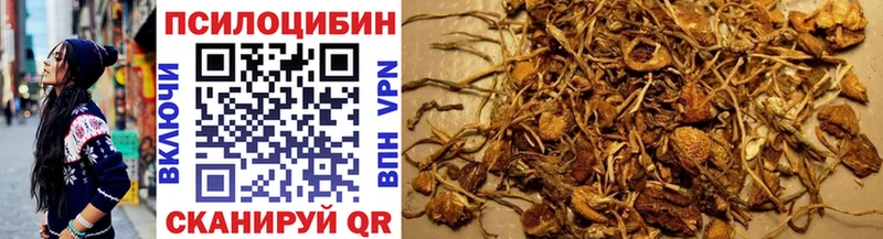 купить  цена  Верхоянск  Галлюциногенные грибы прущие грибы 